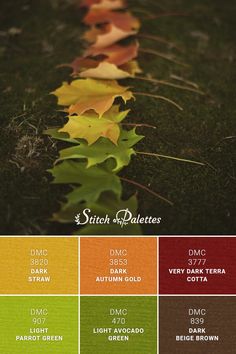 the colors of autumn leaves are shown in this color palette for each individual type of leaf