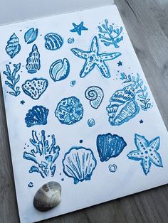 a piece of paper with blue ink on it and various seashells drawn on it