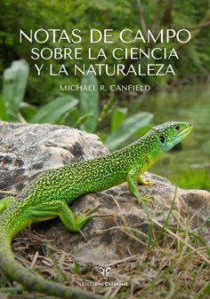 a green lizard sitting on top of a rock next to grass and trees with the words notas de campo sobbre la ciencia y la natturaaleza