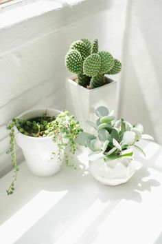 three potted plants sitting on top of a white table next to a window sill