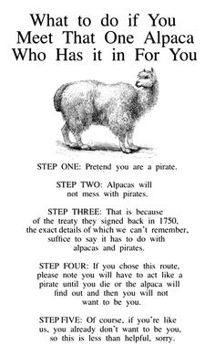 a poem written in black and white that says, what to do if you meet that one alpaca who has it in for you