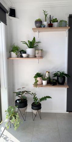 some plants are sitting on shelves in a room with white walls and tile flooring