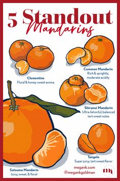 Discover the five best mandarins flavor profiles & their uses to embrace the natural sweetness and vibrant tang of these citrus fruits, from clementines to shiranui mandarins, and add a nutritious twist to your recipes and snacks.