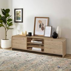 a living room with a rug, potted plant and framed pictures on the wall