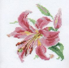 Lily 0-118 Cross-stitch kit - Wizardi Cross Stitch Lily, Lily Cross Stitch, Star Lily, Needlecraft Kits, Stargazer Lily, Pola Sulam, Cross Stitch Rose, Cross Stitch Fabric, Counted Cross Stitch Kits