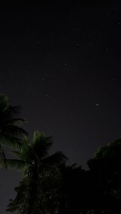 the night sky is filled with stars and palm trees