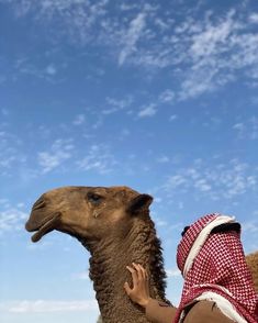 a woman is petting a camel on the head with blue skies in the background