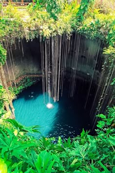 a blue pool surrounded by greenery in the middle of an area that looks like it is