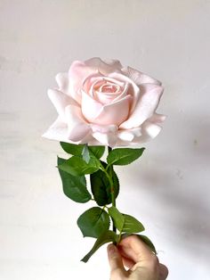 a person holding a pink rose in their hand