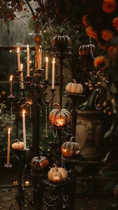 candles are lit in an outdoor setting with pumpkins