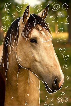 a horse with hearts drawn on it's face