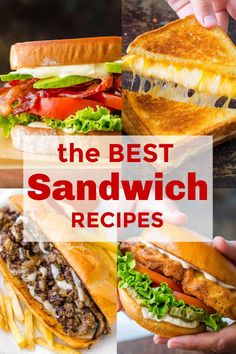 the best sandwich recipes that are easy to make, delicious and tasty for lunch or dinner