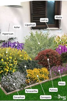 the different types of flowers are shown in this garden diagram, with labels on them