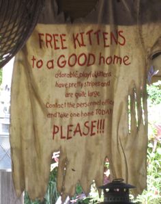 a sign hanging from the side of a building that says free kittens to a good home