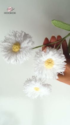 two white flowers are being held by someone's hand on a white surface with green leaves