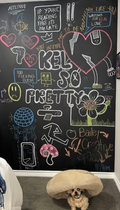 a small dog wearing a hat in front of a chalkboard with writing on it