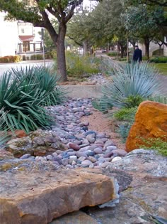 a garden with rocks and plants in it