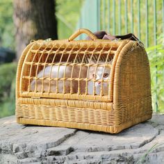 a rat in a basket sitting on top of a stone wall next to a fence