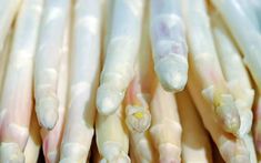 several white asparagus are lined up together