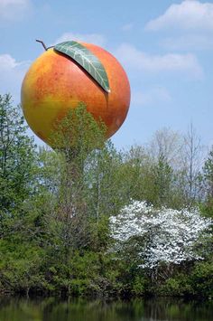 there is a large peach on top of a tree in the middle of some water