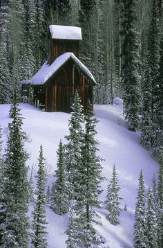 a cabin in the woods with snow on the ground and trees around it, surrounded by evergreens