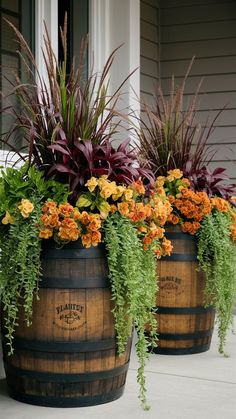 three wooden barrels filled with plants and flowers