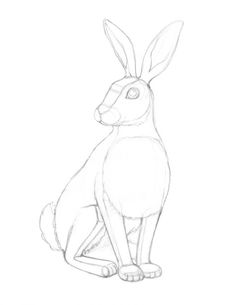 a drawing of a rabbit sitting down