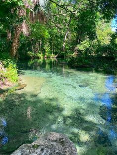 a river surrounded by trees and rocks in the middle of a forest with clear blue water