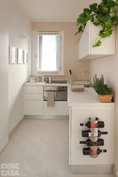 a kitchen with white cabinets and plants on the counter