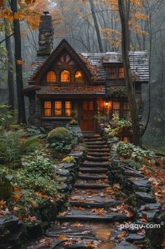 a house in the woods with steps leading up to it