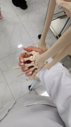 a person is holding a model of the human body