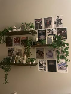 the wall is covered with pictures and plants on shelves, along with other items such as books