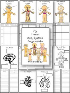 the human body systems worksheet is shown with pictures and instructions to help students understand what they are doing