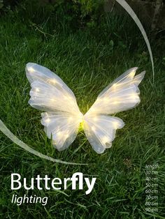 a white butterfly sitting on top of a lush green field next to a light string