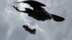 two black dragon like creatures flying in the sky