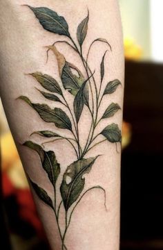 a close up of a person's leg with leaves on it