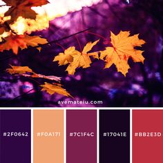 the color palette is red, orange and purple with yellow leaves on it's branches