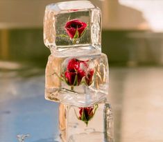 three roses are placed in ice cubes on the table