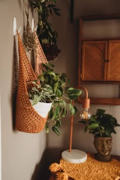 some plants are hanging on the wall next to a potted plant in a wicker basket