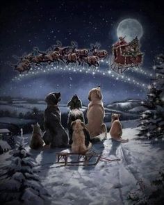 a group of dogs sitting in front of a sleigh with santa's sleigh