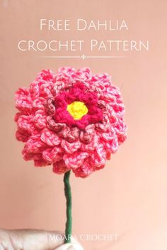 a pink crocheted flower being held by a person's hand with the text free dahlia crochet pattern