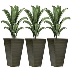 three planters with plants in them on a white background