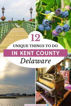 several pictures with the words unique things to do in kent county delaware, including blueberries and