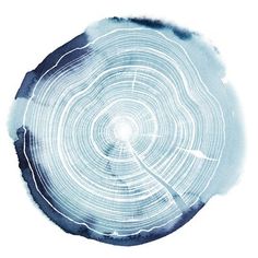 a tree stump is shown in blue and white