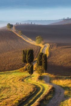 a dirt road winding through the countryside with trees on either side and rolling hills in the distance