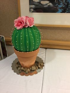 a green cactus with pink flowers sitting on top of rocks next to a white table cloth