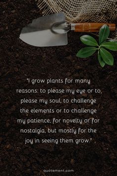 Let’s read an inspiring collection of garden quotes that will remind us of the wisdom, beauty, and life lessons found in the petals and greenery of a garden! Growing Plants, Quotes