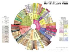 the color wheel is full of different types of coffee beans and their corresponding colors are labeled