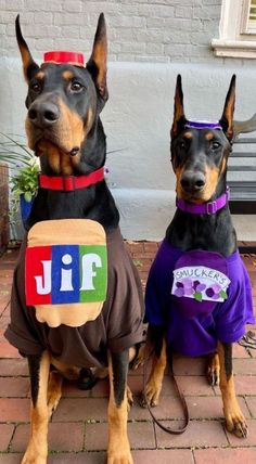 two dogs dressed up in costumes sitting on the ground