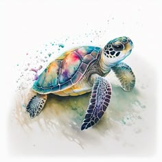 a painting of a sea turtle in watercolor on white paper with splashing paint